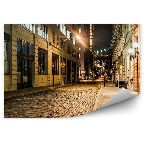 Papier peint Avenue Buildings Signs Night Lights New York City