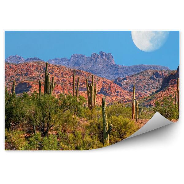 Papier peint Cacti Rochers Montagne Ciel Lune Désert