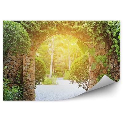 Papier peint Arcade murale recouverte de lierre