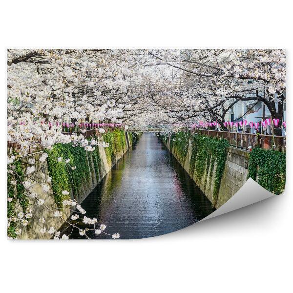 Papier peint canal meguro fleurs printemps arbres tokyo