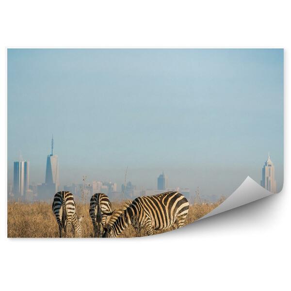 Papier peint Kenya Nairobi City View Zebra Sawanna