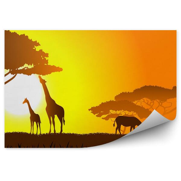 Papier peint Zèbres Girafes Arbre Herbe Coucher De Soleil Savane