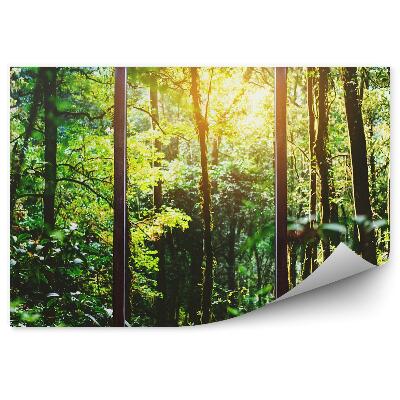 Papier peint Fenêtre D'un Chalet En Bois Forêt D'hiver Arbres De Noël Montagnes