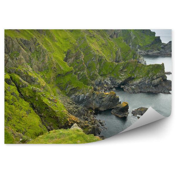 Papier peint Paysage Côtier Écossais Shetland Vert Nature Océan