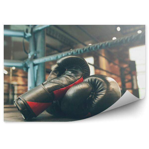 Papier peint Gants de boxe ring