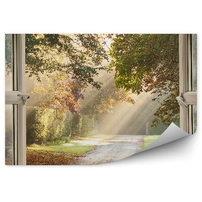 Papier peint Parc Derrière La Fenêtre Chemin Soleil