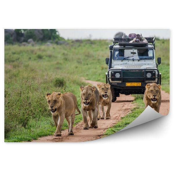 Papier peint Lions Verts En Safari Nature