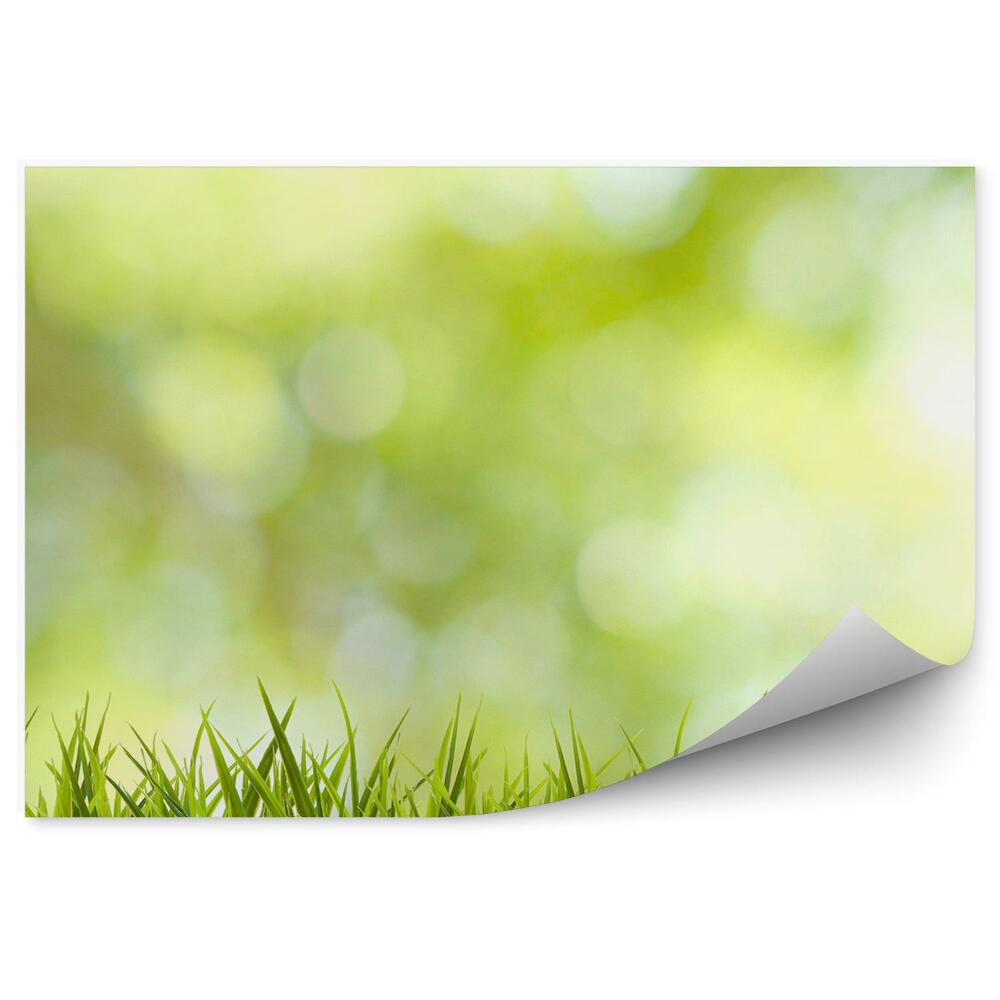 Papier peint Fond vert d'herbe Graphique abstrait été