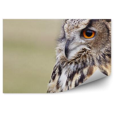 Papier peint Hibou En Gros Plan