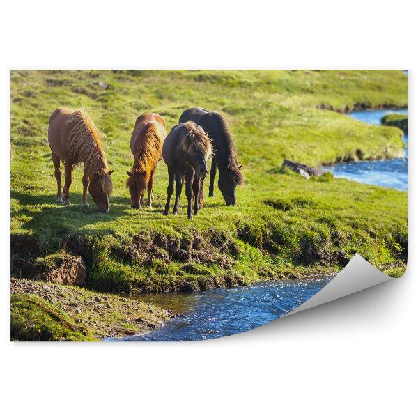 Papier peint pâturage de chevaux herbe verte ruisseau île