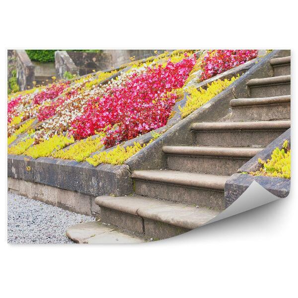 Papier peint Vieil escalier en pierre parterres de fleurs