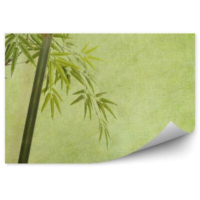 Papier peint Bambou Texture Dessinée Fond Vert
