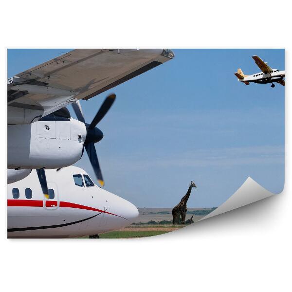 Papier peint Avion de transport aéroport girafes