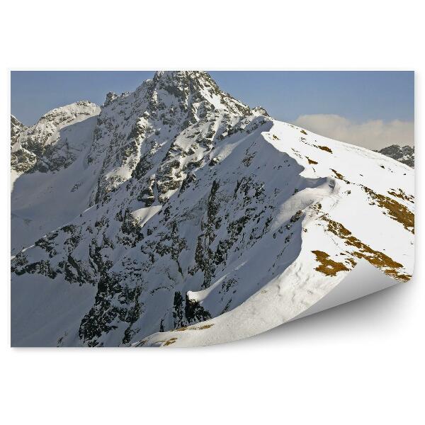 Papier peint Montagnes Des Tatras Ciel Enfoui Nuages Hiver Neige