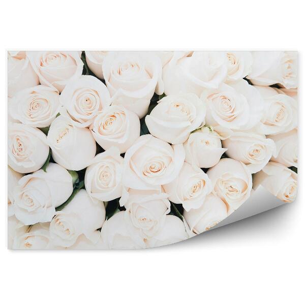 Papier peint Fond de fleurs roses blanches