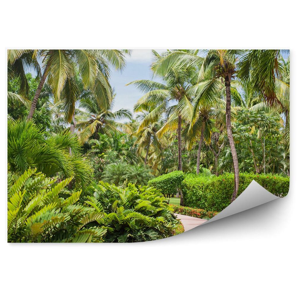 Papier peint Bâtiment Allée Palmiers Buissons Fougères Fleurs Exotiques Jardin Dominicain