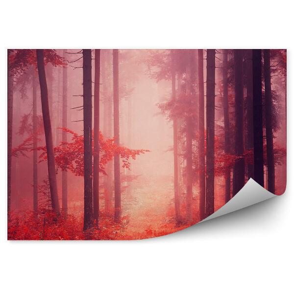 Papier peint Arbres de la forêt rouge de la fée des brumes