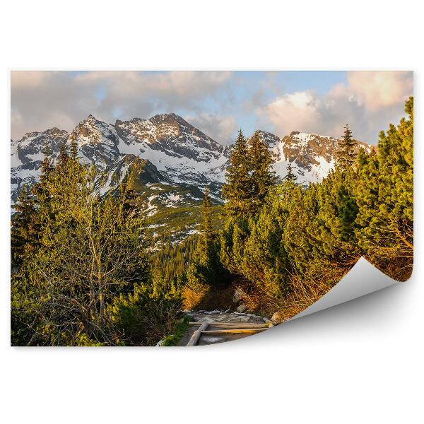 Papier peint Hala Gąsienicowa Tatry Montagnes Ciel Nuages Arbres