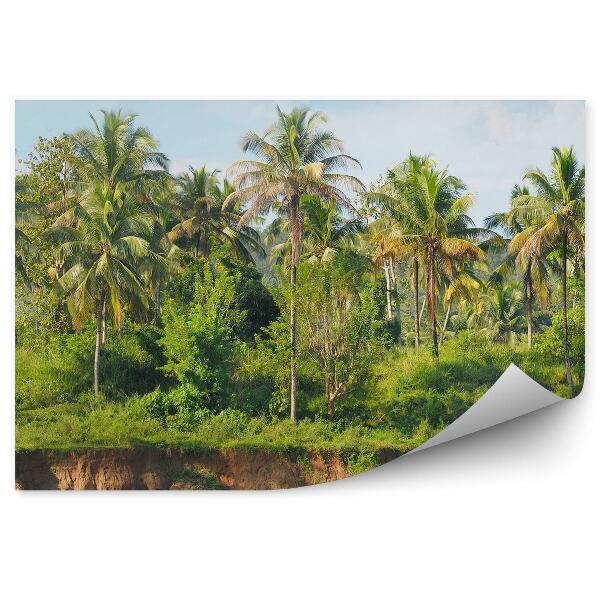 Papier peint Forêt tropicale et palmiers au bord d'une rivière