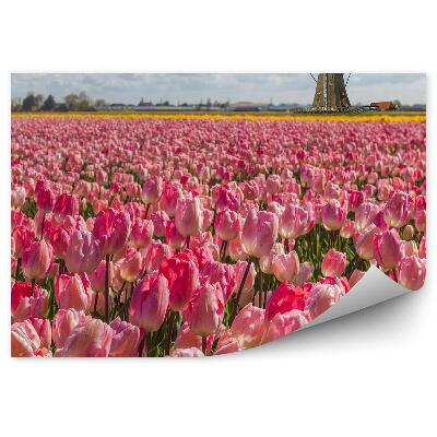 Papier peint Tulipes roses moulins à vent ciel nuages hollande