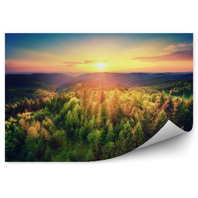 Papier peint Coucher de soleil sur une forêt