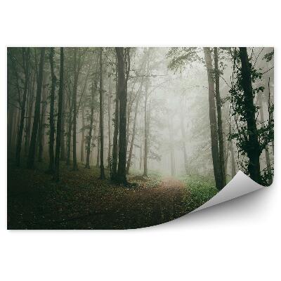 Papier peint Chemin Forêt Arbres