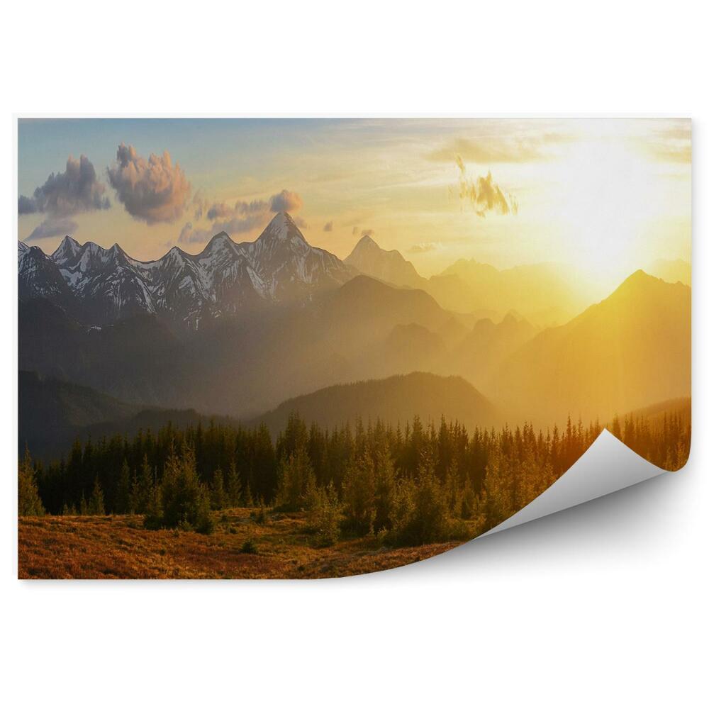 Papier peint Forêt de montagne au lever du soleil