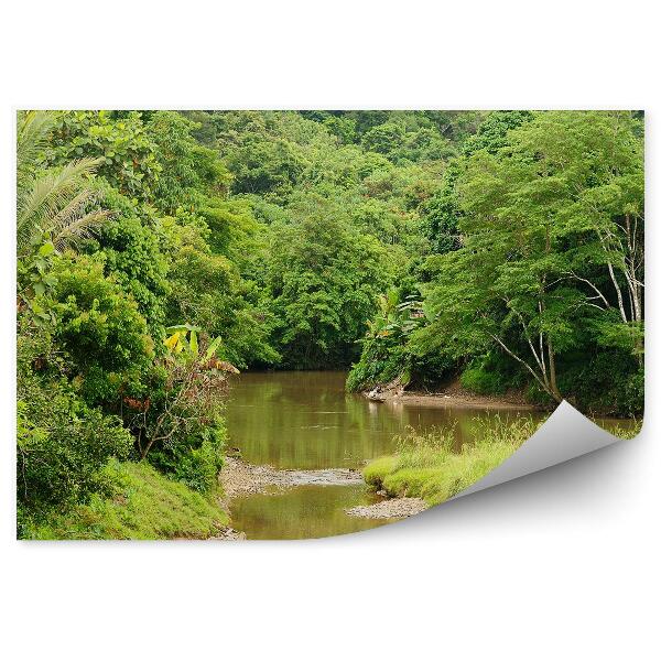 Papier peint Indonésie Bateaux Rivière Arbres