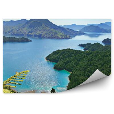 Papier peint Montagnes Vertes Conifères Fougères Océan Ciel Nuages Nouvelle Zélande