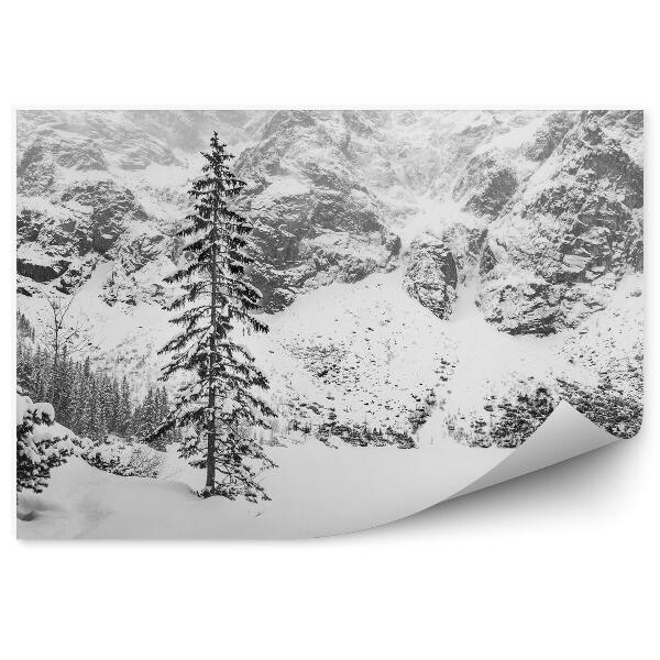 Papier peint Paysage Noir Et Blanc Montagnes Conifères Neige Hiver