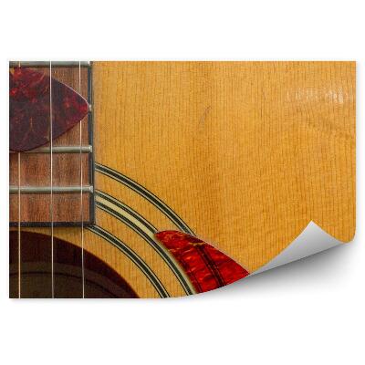 Papier peint Cordes de Guitare Acoustique Plume Gros plan