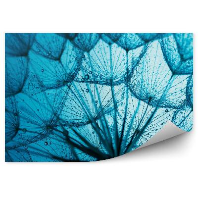 Tapisserie panoramique Fond bleu