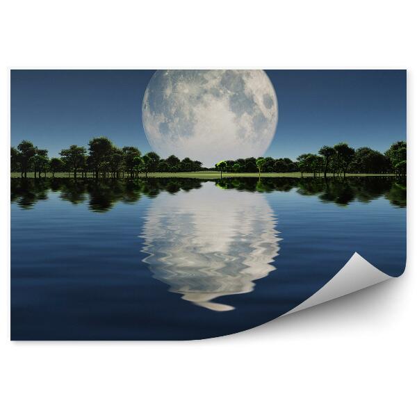 Papier peint Lac Ombre Arbre Vert Ciel Lune