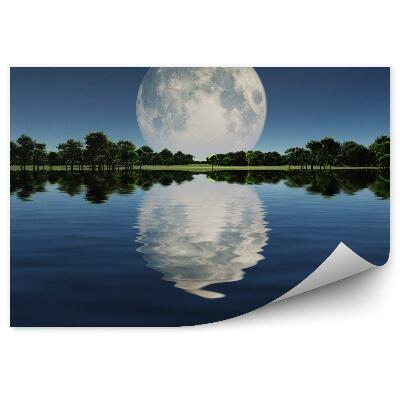 Papier peint Lac Ombre Arbre Vert Ciel Lune