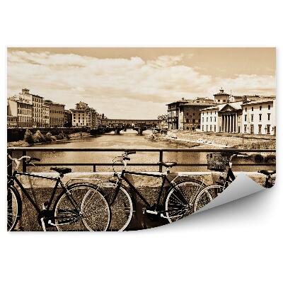 Papier peint Trois vélos pont rivière sepia