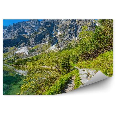 Papier peint Chemin parmi la verdure Émeraude Eau Montagne