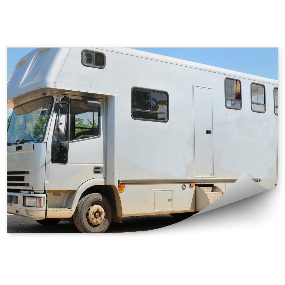 Papier peint Voiture tirée par des chevaux