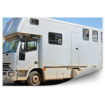 Papier peint Voiture tirée par des chevaux