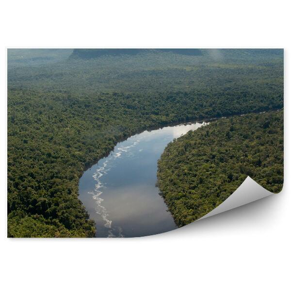 Papier peint Vue d'oiseau Forêt verte Eau