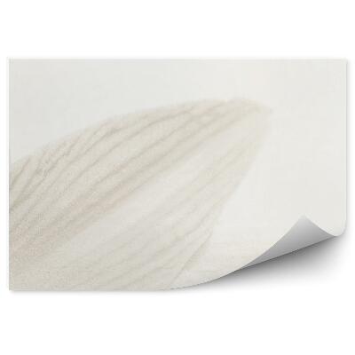 Papier peint Pétales de lys gris fond blanc