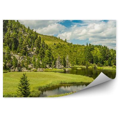 Papier peint Lac Alpin Montagnes Conifères Ciel Nuages Rochers