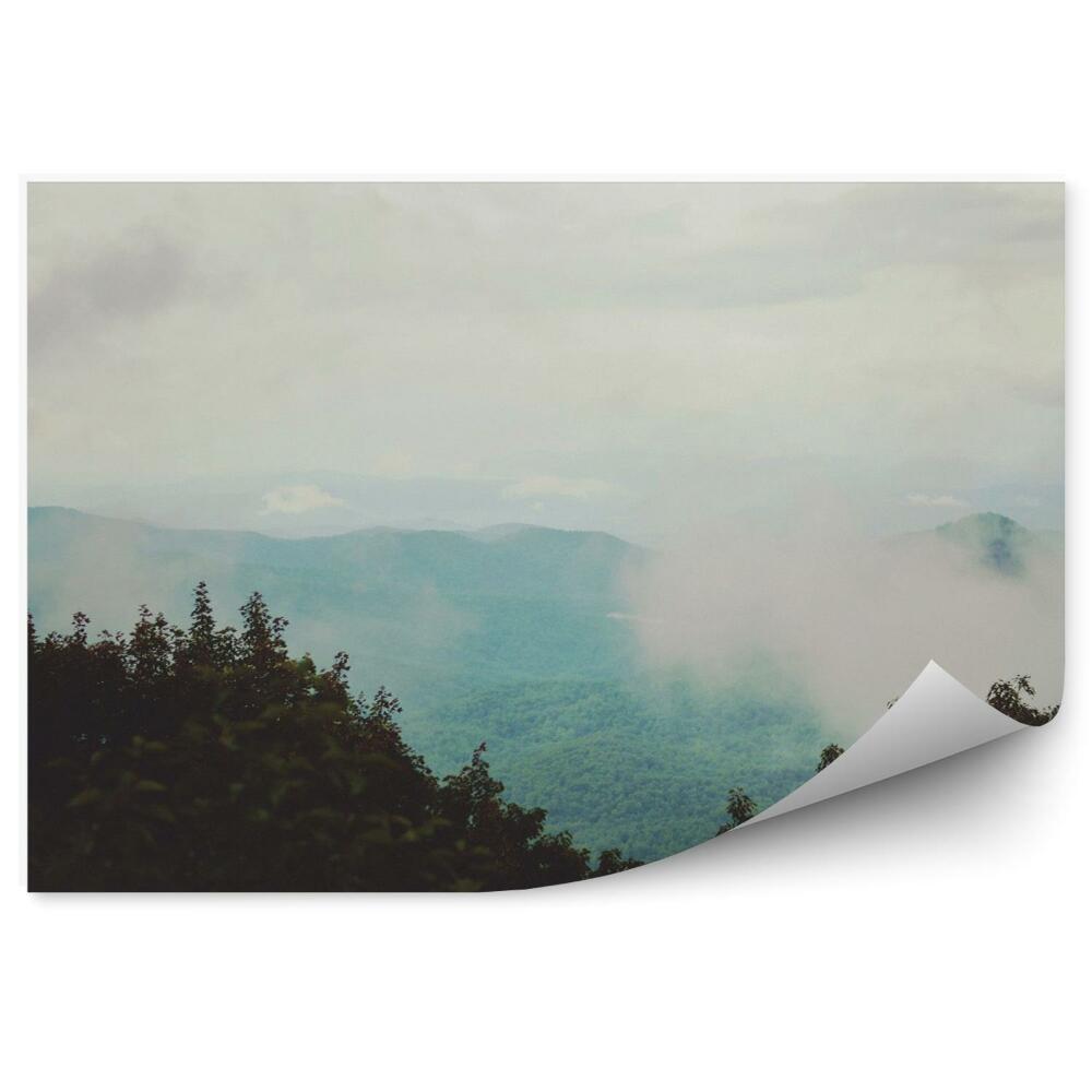 Papier peint Forêt nuageuse