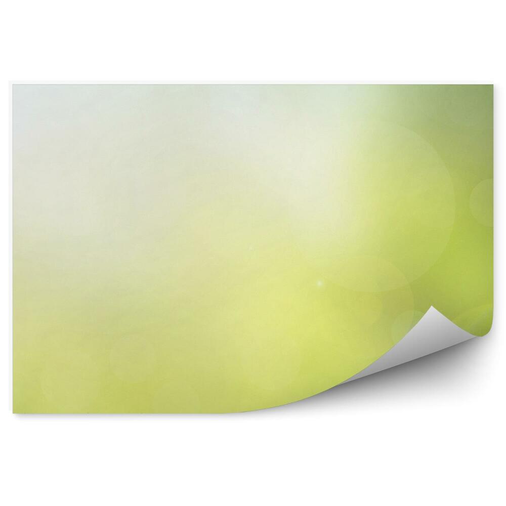 Papier peint Herbe Verte Tiges Vertes Fond Abstrait