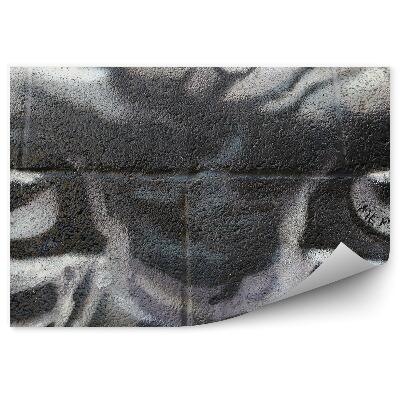 Papier peint Graffiti Yeux De Singe