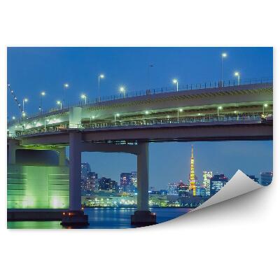 Papier peint Tokyo bay movement light water bridge