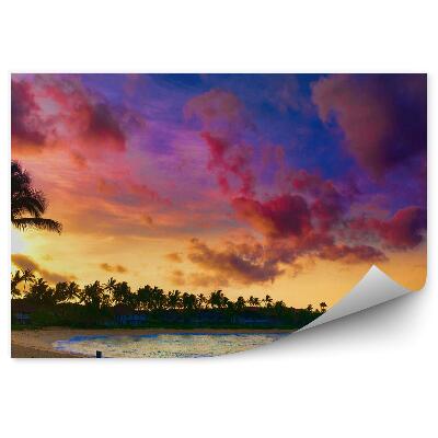 Papier peint Coucher De Soleil Palmiers Maisons Arbres Océan Plage Ciel