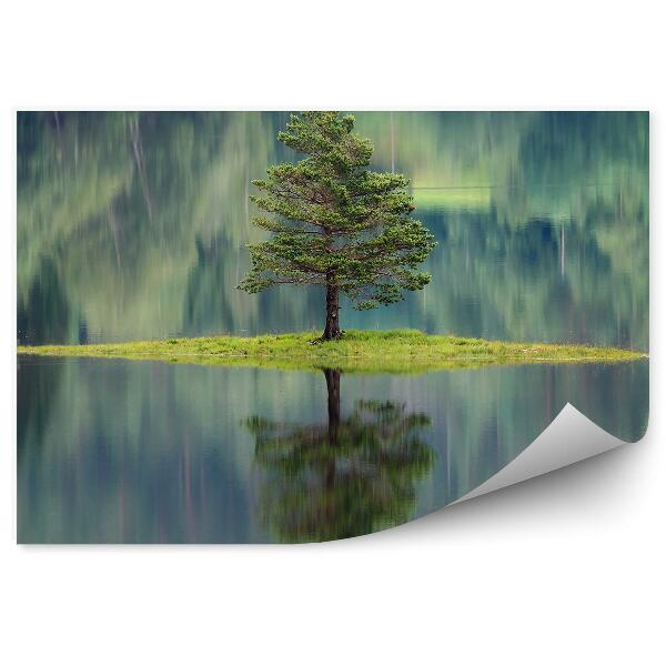 Papier peint Petite île avec un arbre Reflet de l'eau