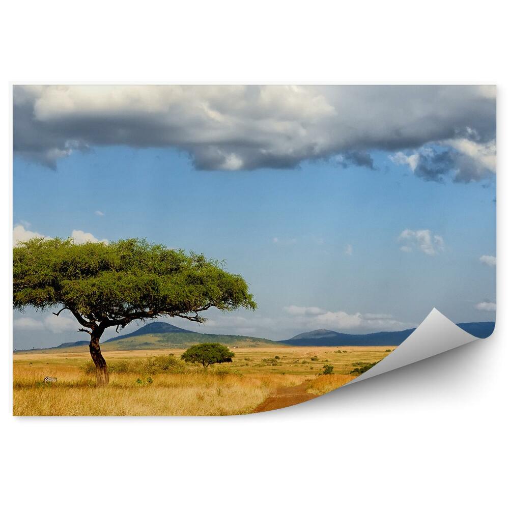 Papier peint Arbres Zèbres Route Herbe Savane Ciel Nuages