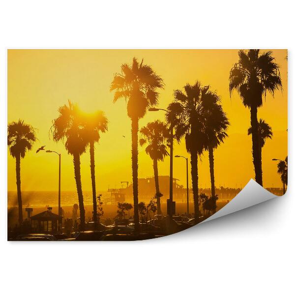 Papier peint Coucher de soleil Palmes Voitures Plage Los Angeles