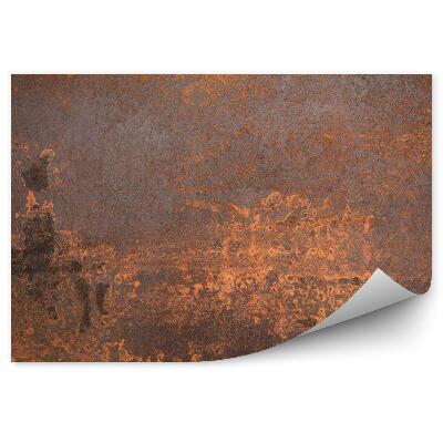 Papier peint panoramique Métal rouillé
